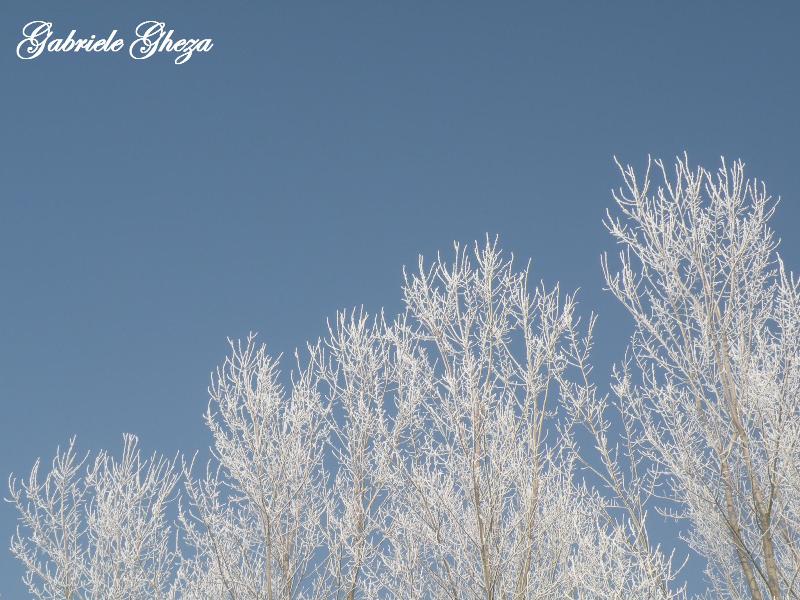 Omaggio all''Inverno che se ne va...